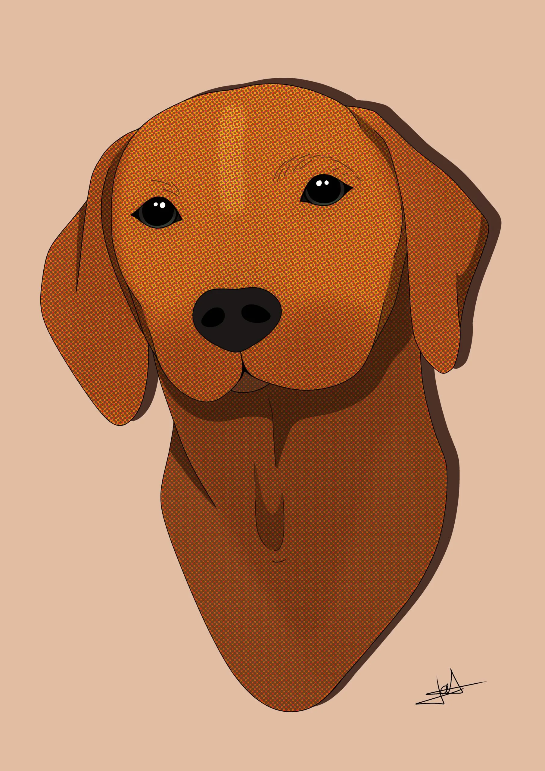 dessin d'un chien